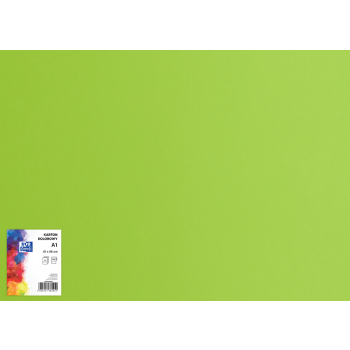 KARTON KOLOROWY OXFORD A1 160G JASNOZIELONY