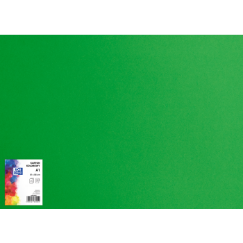 KARTON KOLOROWY OXFORD A1 160G ZIELONY