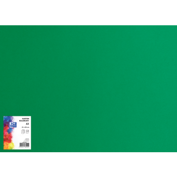 KARTON KOLOROWY OXFORD A1 160G CIEMNOZIELONY
